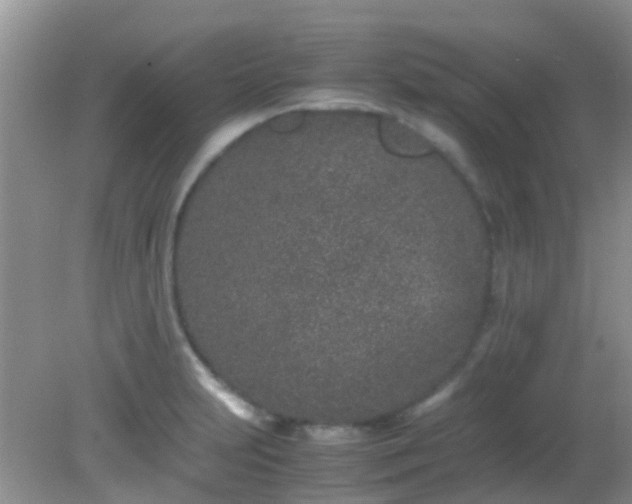 X0000082201231200701270110