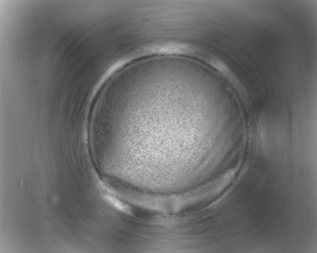 X0000082201232200701270110