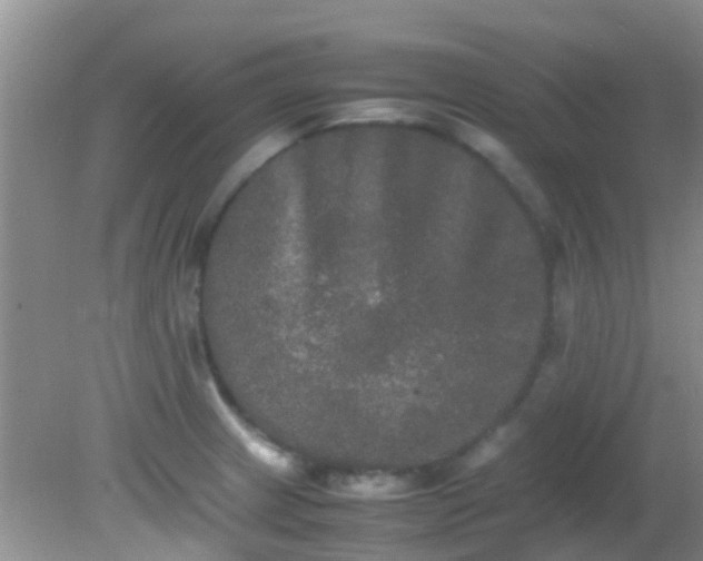 X0000082201233200701270110