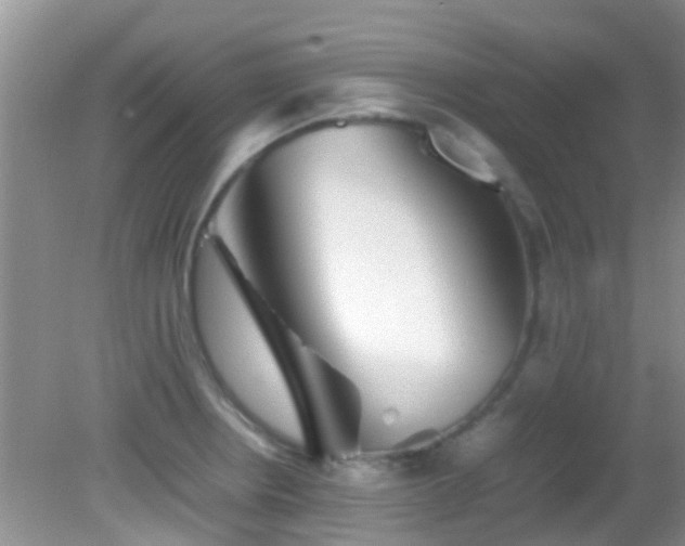 X0000082201234200701270110