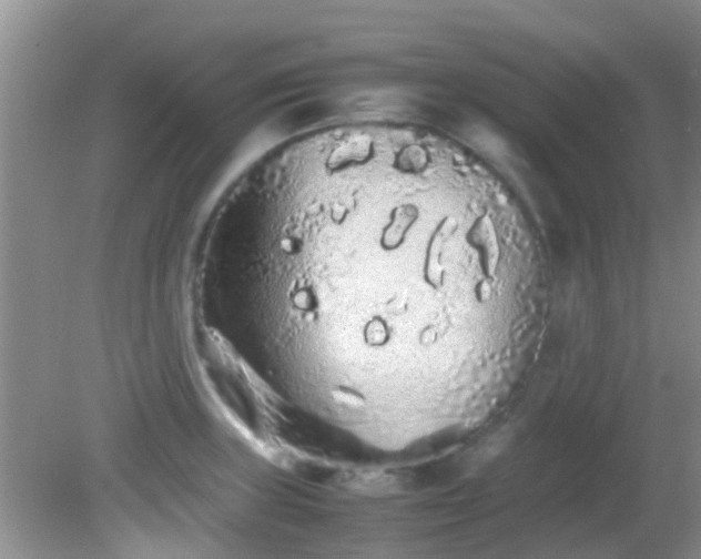 X0000082201235200701270110