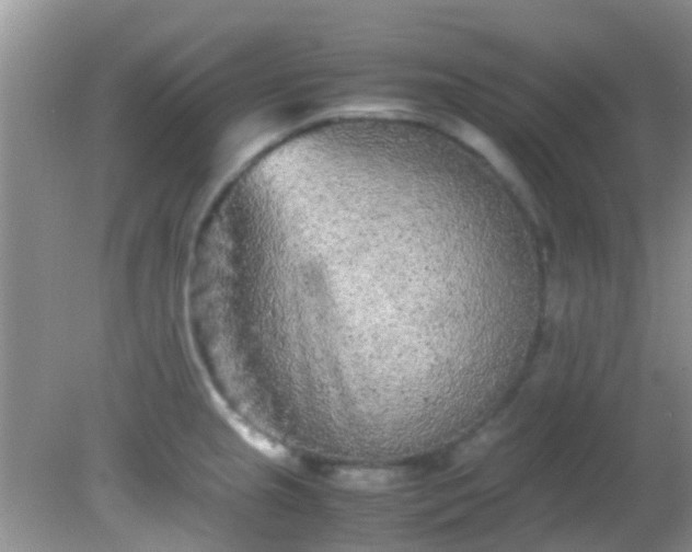 X0000082201237200701270110