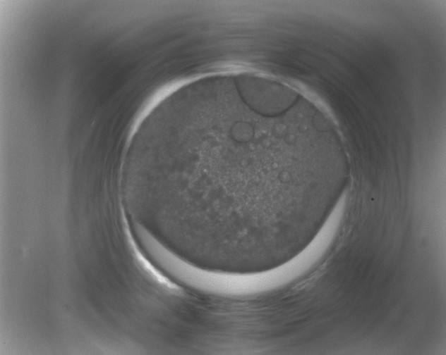 X0000082201239200701270110