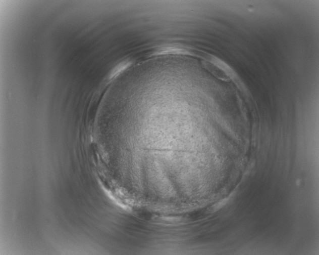 X0000082201241200701270110