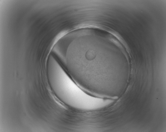 X0000082201242200701270110