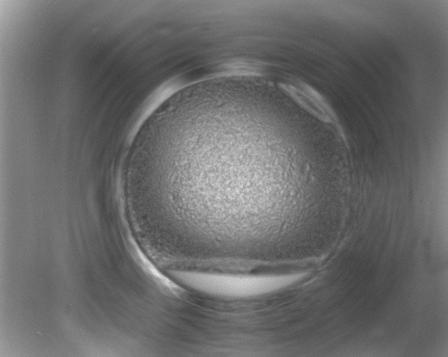 X0000082201243200701270110