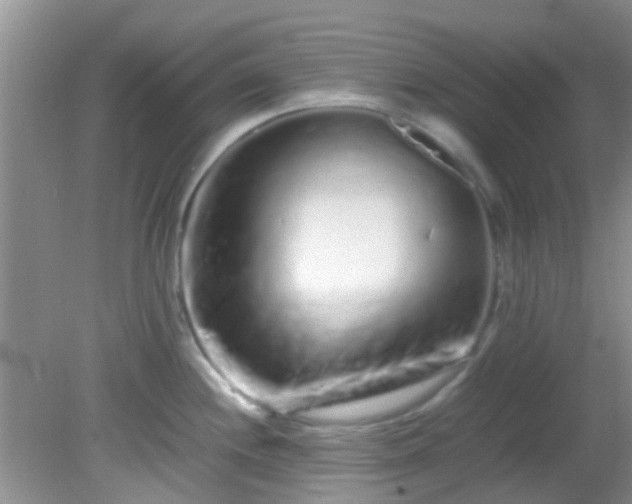 X0000082201244200701270110