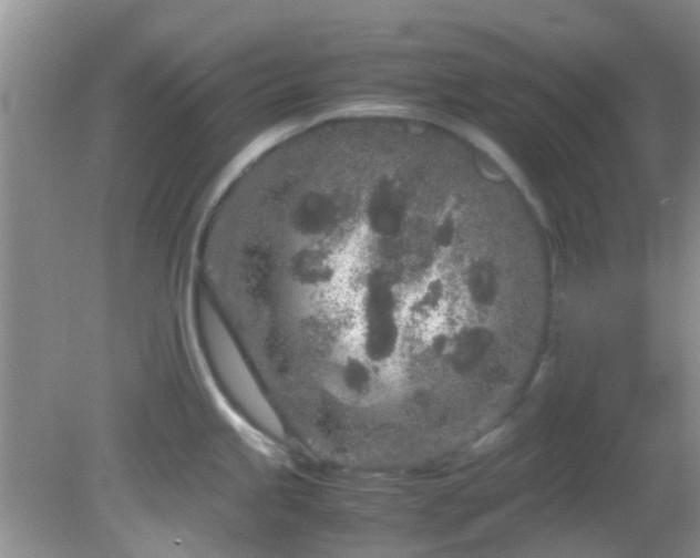 X0000082201245200701270110