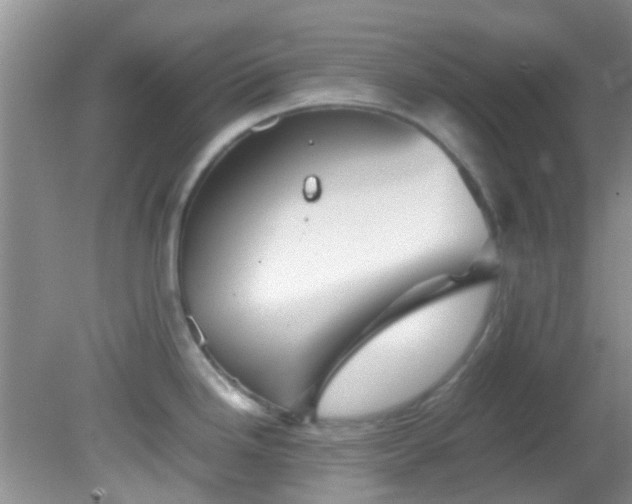 X0000082201246200701270110