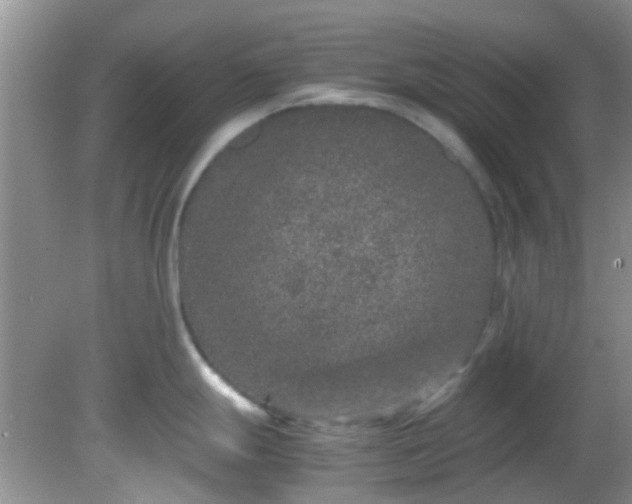 X0000082201247200701270110