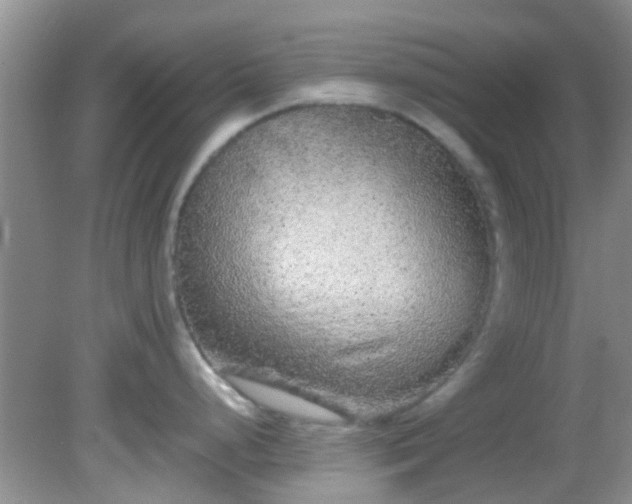 X0000082201248200701270110