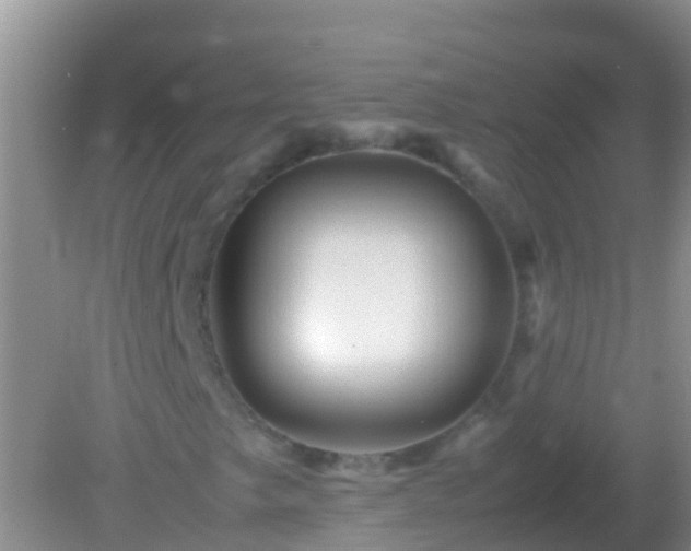 X0000082201249200701270109