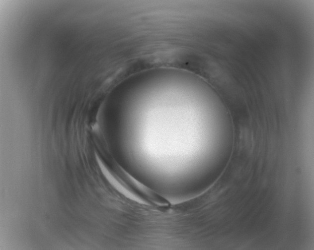 X0000082201250200701270109