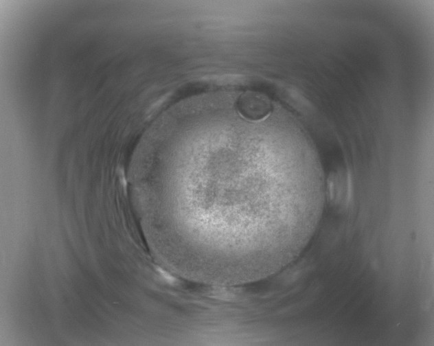 X0000082201251200701270109