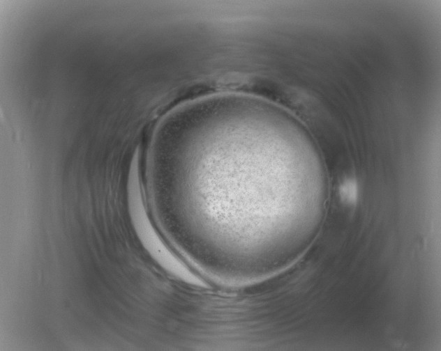 X0000082201252200701270109