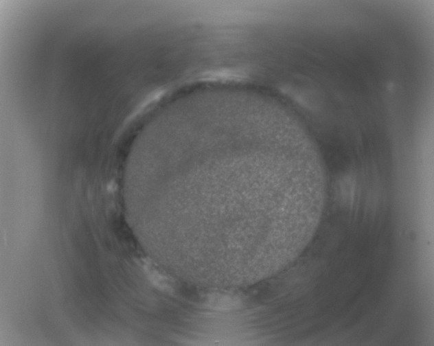 X0000082201254200701270109