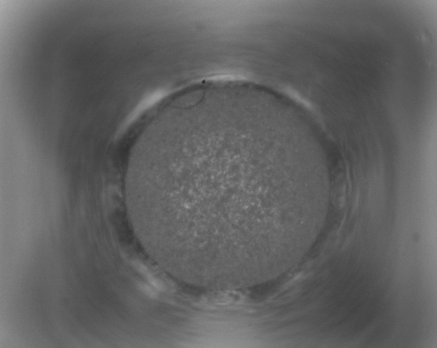 X0000082201255200701270109