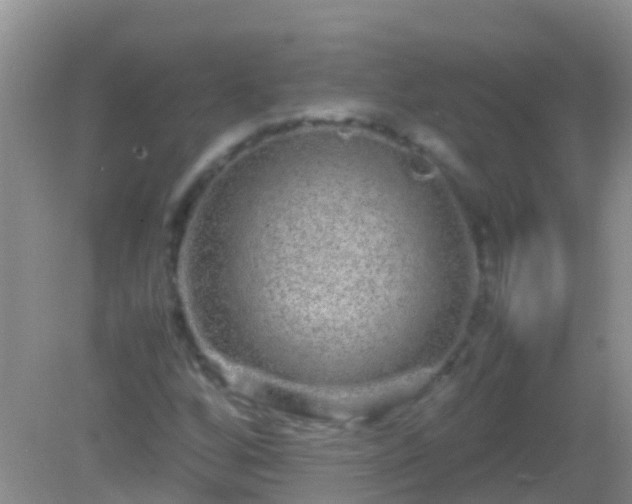 X0000082201256200701270109