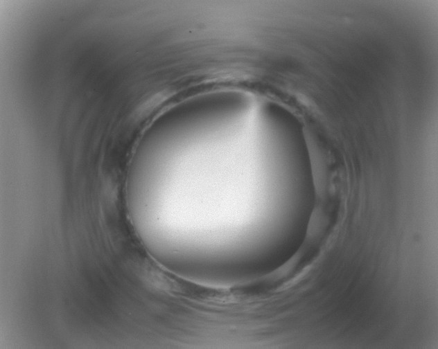 X0000082201257200701270109