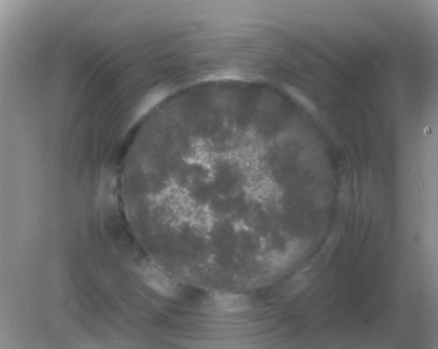 X0000082201258200701270109