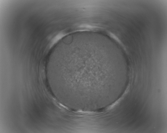 X0000082201259200701270109