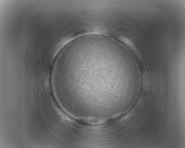 X0000082201260200701270109