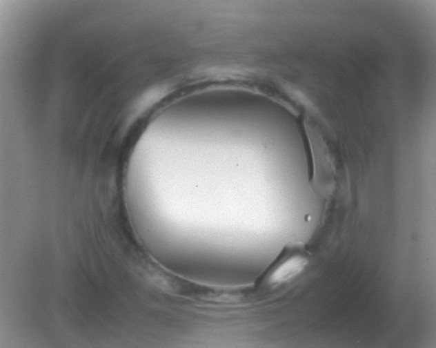 X0000082201261200701270109