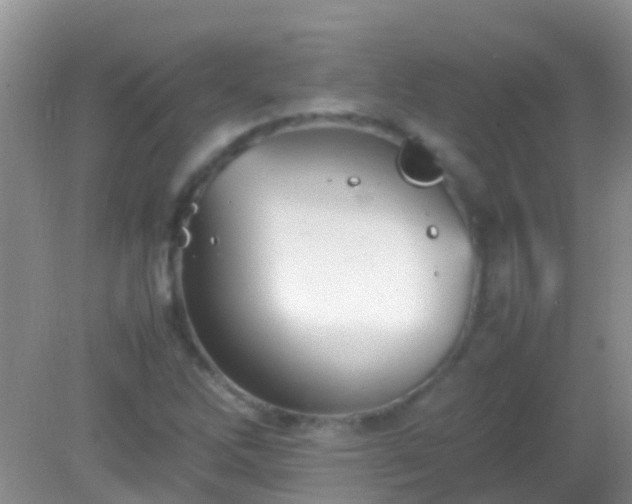 X0000082201262200701270109