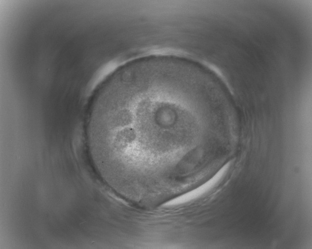 X0000082201263200701270109