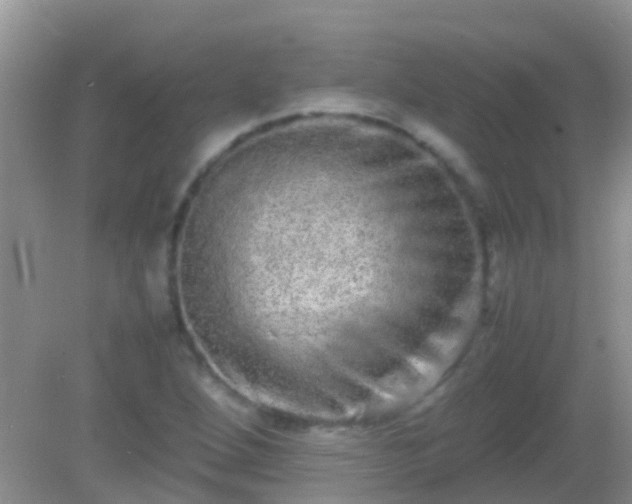 X0000082201264200701270109