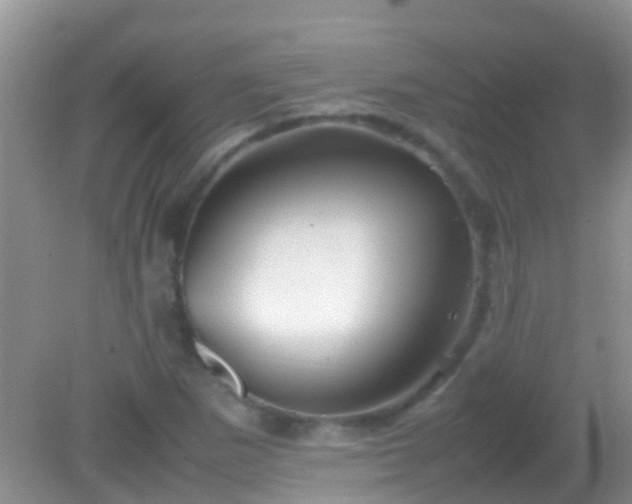 X0000082201265200701270109