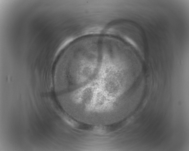 X0000082201267200701270109