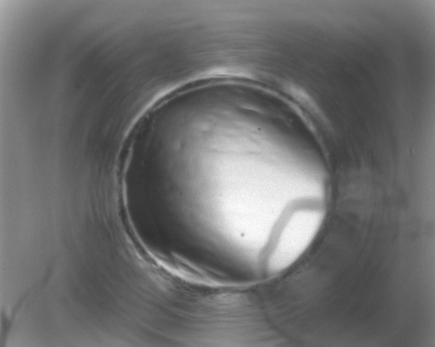 X0000082201268200701270109