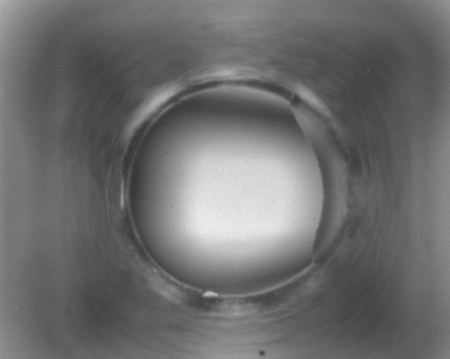 X0000082201269200701270109