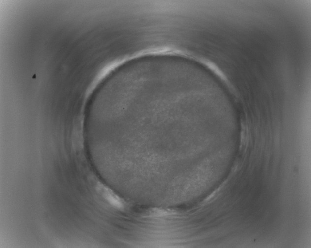 X0000082201270200701270109