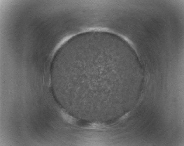 X0000082201271200701270109