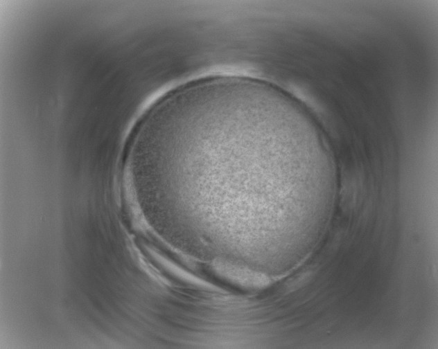 X0000082201272200701270109