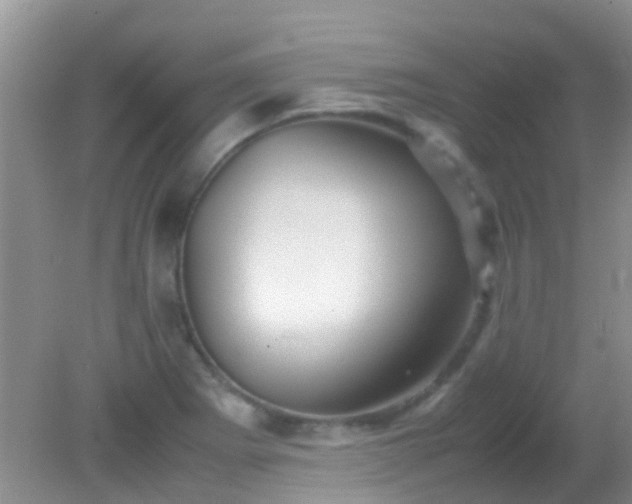 X0000082201273200701270109