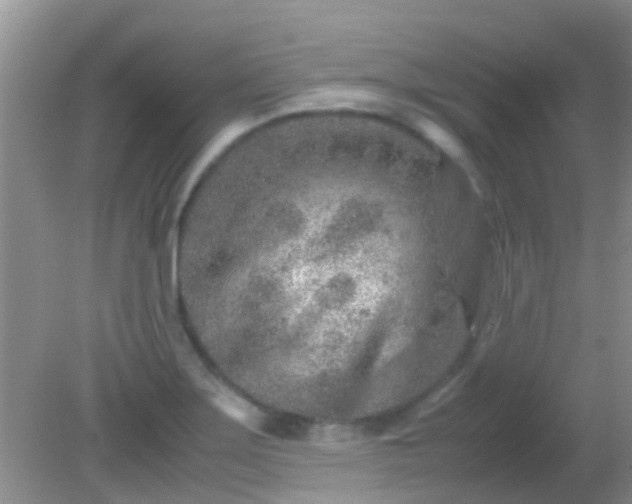 X0000082201275200701270109