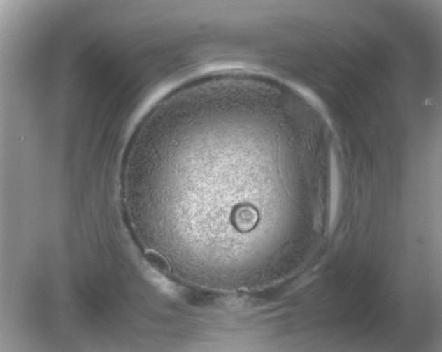 X0000082201279200701270109