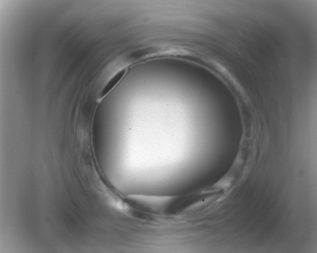 X0000082201281200701270109