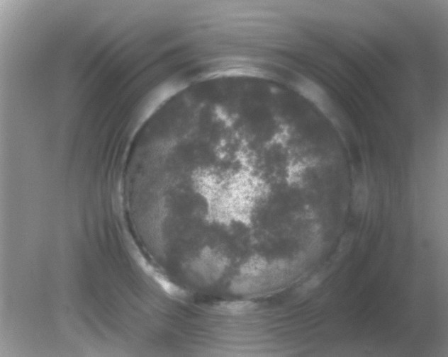 X0000082201282200701270109