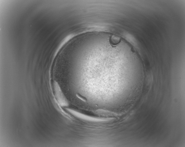 X0000082201283200701270109