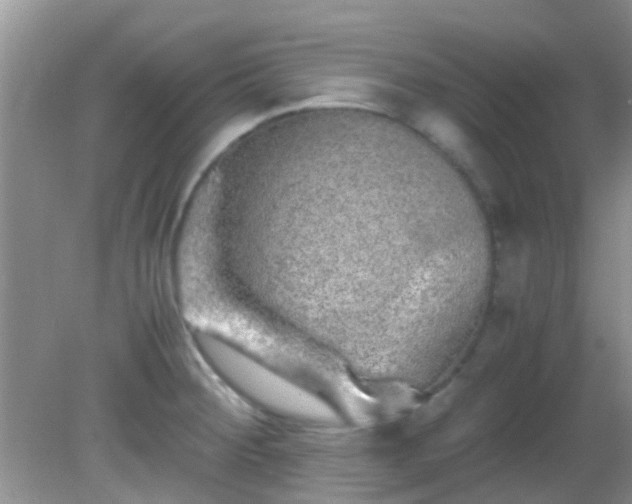 X0000082201284200701270109