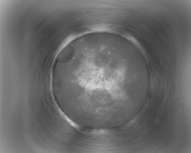 X0000082201286200701270108