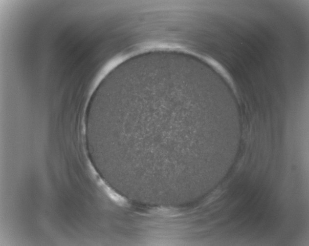 X0000082201287200701270108