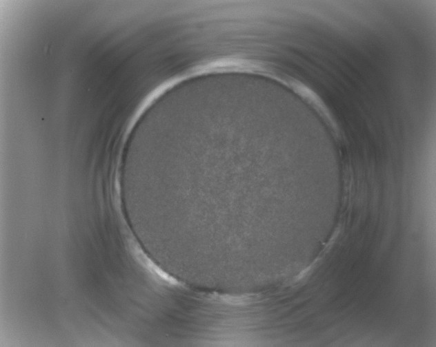 X0000082201288200701270108