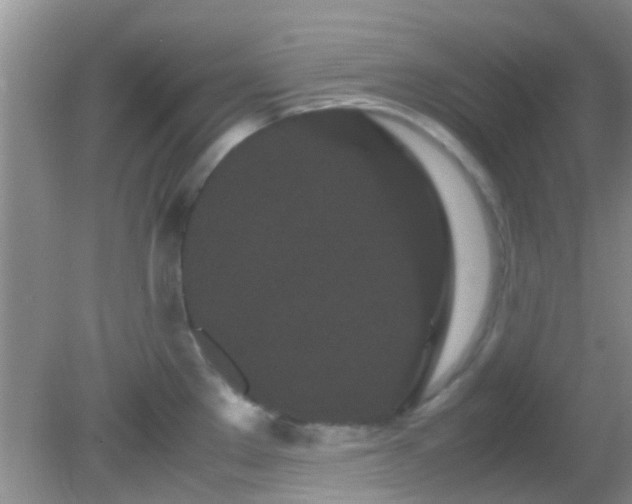 X0000082201289200701270108