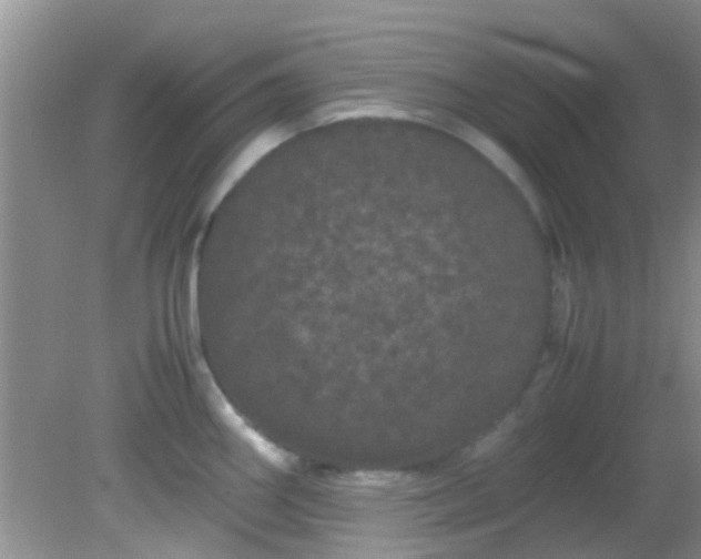 X0000082201290200701270108