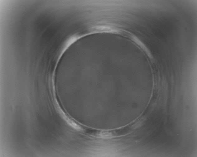 X0000082201291200701270108